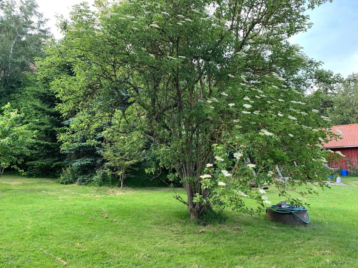 Naturnaera Gard I Tyfta 외부 사진
